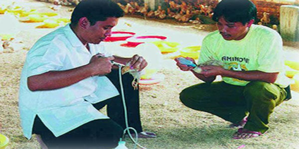 Animal Consultation And Diagnostic01