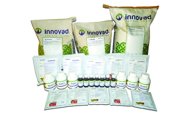 Range of Innovad feed additives